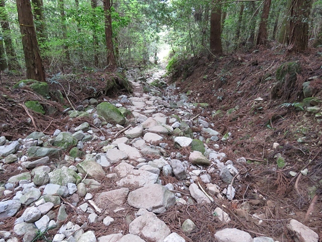f0357487_20373515.jpg