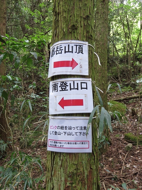 f0357487_20380691.jpg