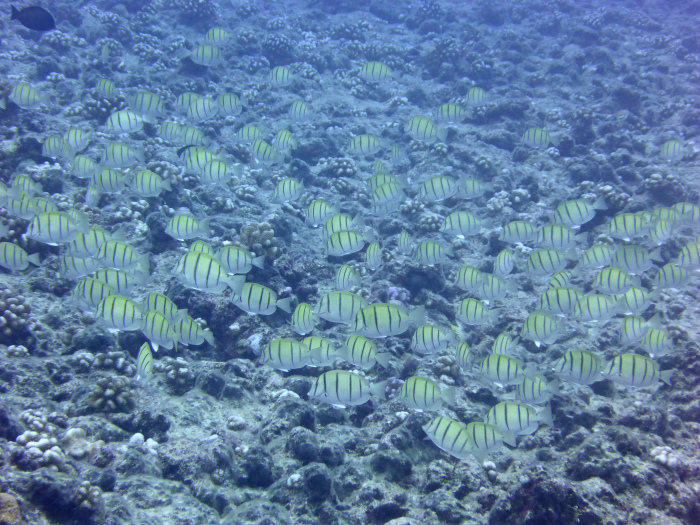 c0147790_15160187.jpg