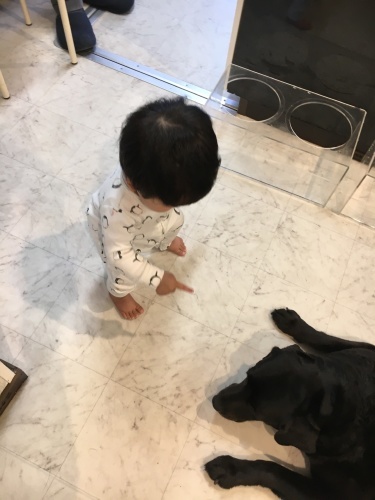 ワンコとbaby_f0347891_22170456.jpeg