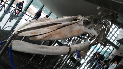 f0166694_23002086.jpg