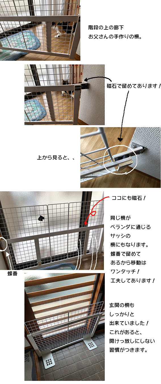 d0071596_00155970.jpg