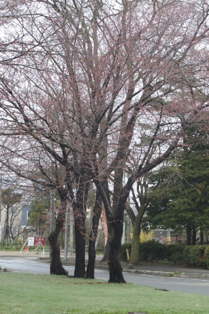 c0360399_22482933.jpg