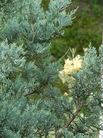 c0152002_21241093.jpg