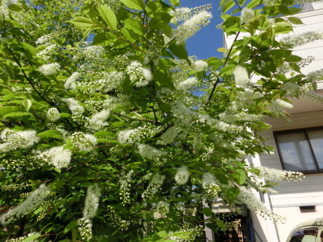 a0203003_09031639.jpg