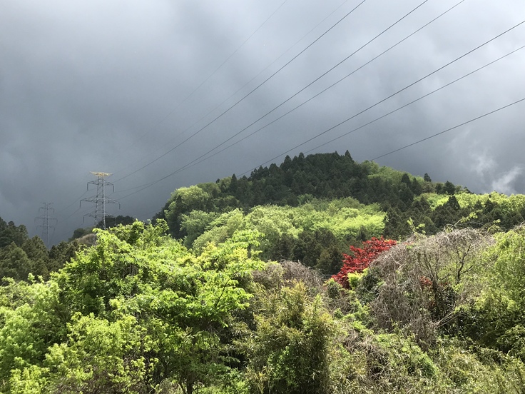山で草抜き。_c0212604_1135620.jpg