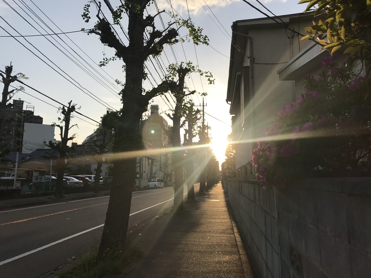 今日もご近所ウォーキング♪_c0212604_1948642.jpg