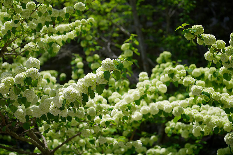 f0032011_19202107.jpg