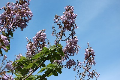 e0373815_19115641.jpg