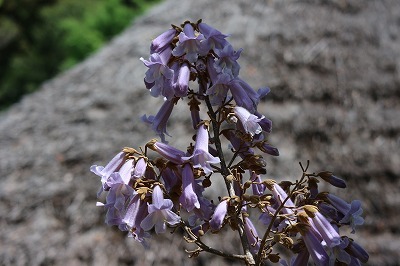 e0373815_19120056.jpg