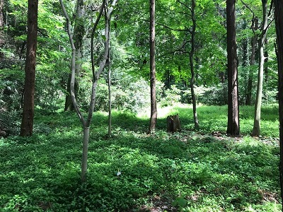 e0373815_19500985.jpg