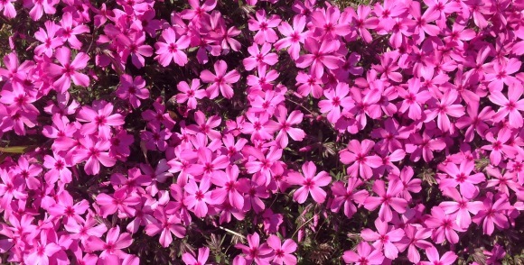 b0325317_12510986.jpeg