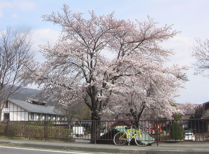 c0335218_15414930.jpg