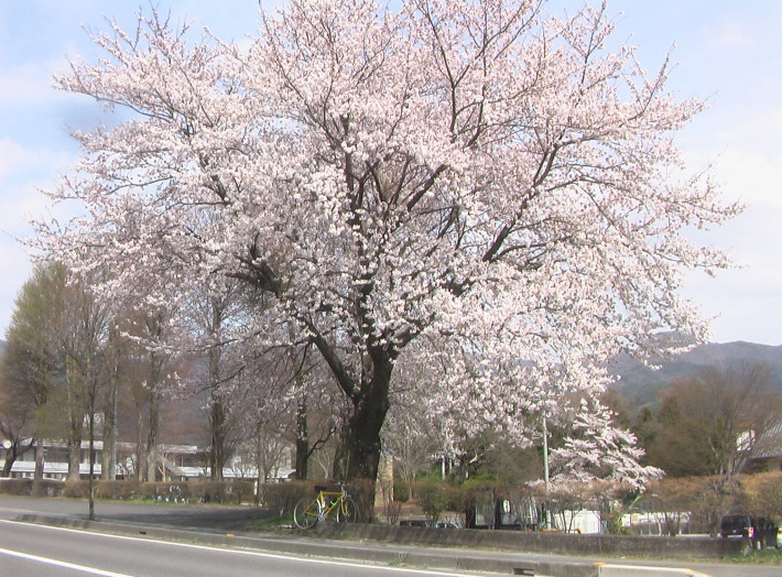 c0335218_15420914.jpg