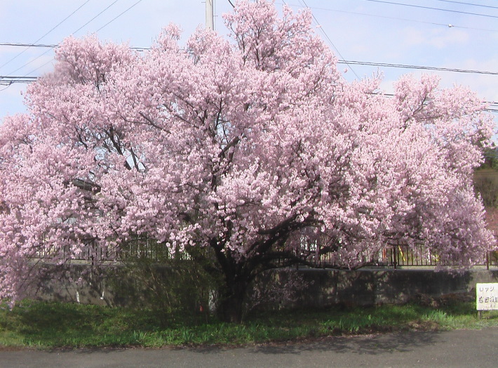 c0335218_15422032.jpg