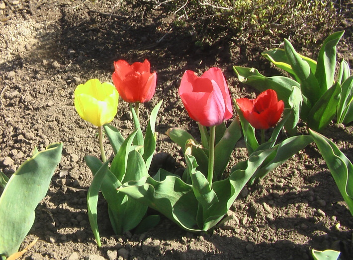 c0335218_15524545.jpg