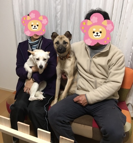 b0207320_15354274.jpeg