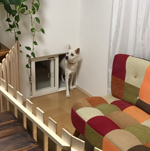 b0207320_15355658.jpeg