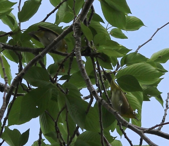 c0280322_23465102.jpg