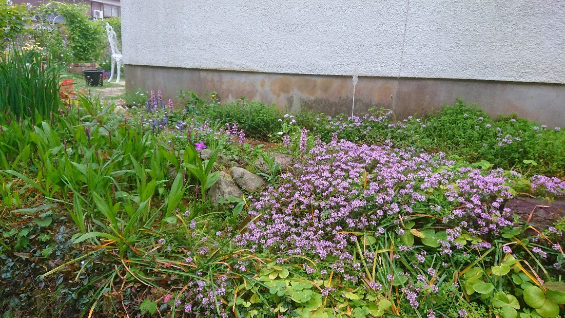 e0263224_01112531.jpg