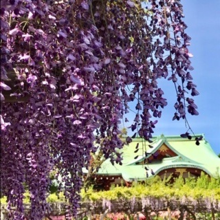 c0051529_15112389.jpg