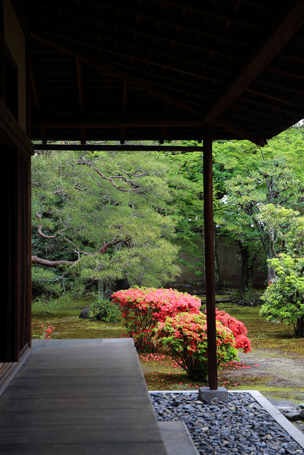 天皇陛下御即位奉祝 春期京都非公開文化財特別公開（前編）_b0169330_8415764.jpg