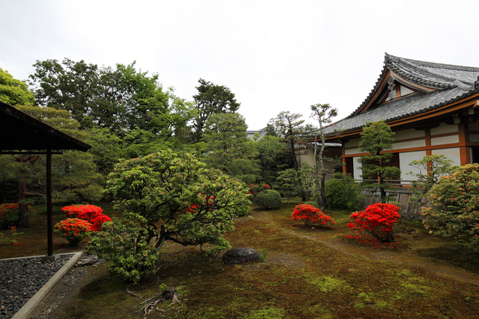 天皇陛下御即位奉祝 春期京都非公開文化財特別公開（前編）_b0169330_85432.jpg