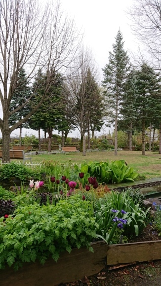 e0263934_21400904.jpg