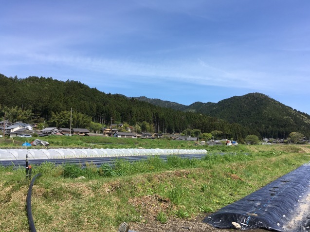 f0068334_07461845.jpeg