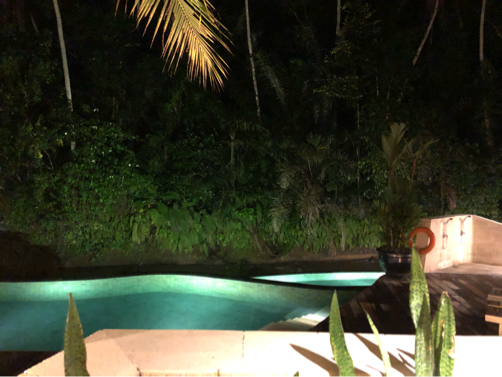 2019☆Bali（14）～夜のリバーサイドカフェ@フォーシーズンズ・サヤン_f0207146_15523727.jpg