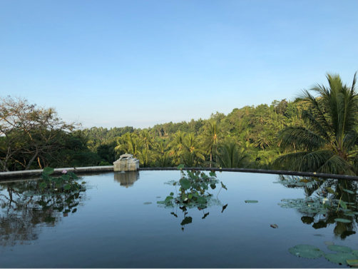 f0207146_15592175.jpg