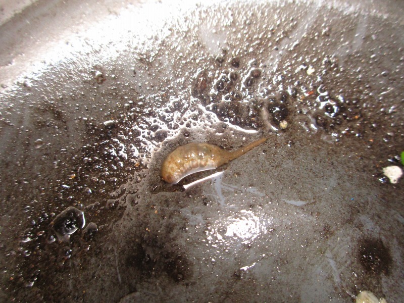 b0362459_12215413.jpg