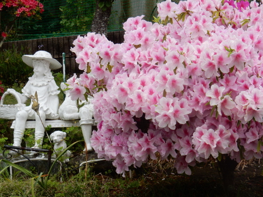 ’19,5,2(木)天皇陛下即位と花散歩とホットドッグ!_f0060461_09343601.jpg