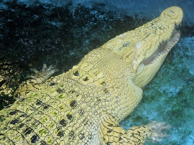 c0105569_00452220.jpg
