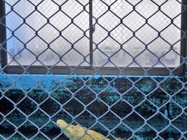 c0105569_00453978.jpg
