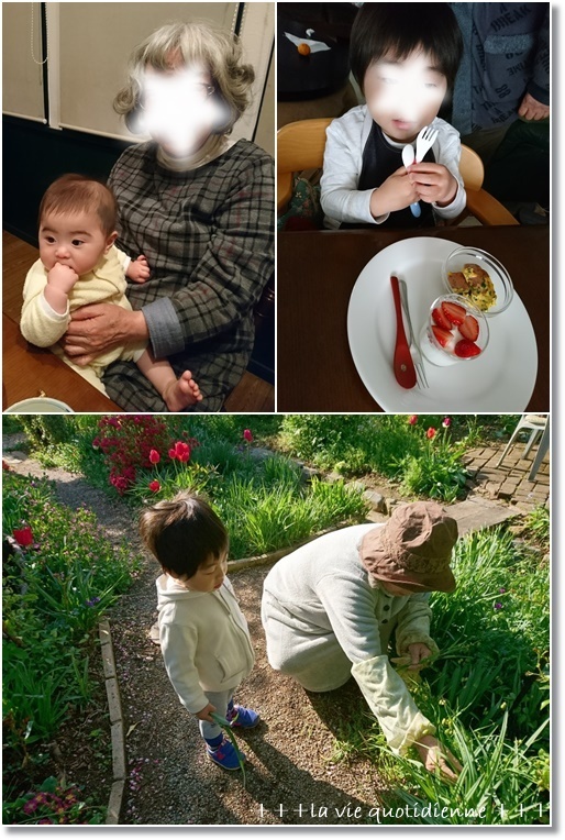 桜餡と緑茶のケーキと【焼き納め】クランベリーと桜のクリチラウンドパン_a0348473_22270602.jpg