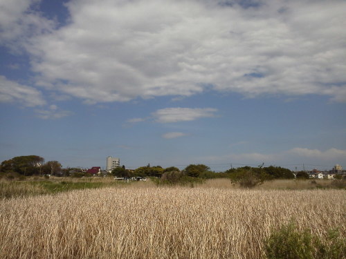 b0155973_16214957.jpg