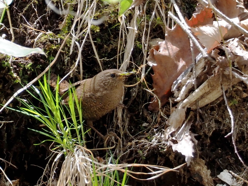 f0372177_22230348.jpg