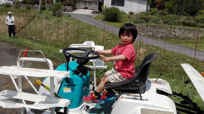田植え&カゲロウ??_a0199979_21004936.jpg