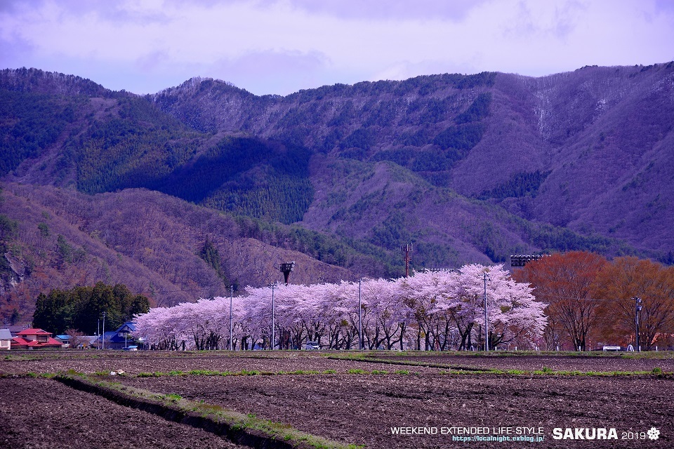 2019 SAKURA その12　南会津_f0345580_22381719.jpg