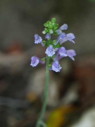 f0348480_17191509.jpg