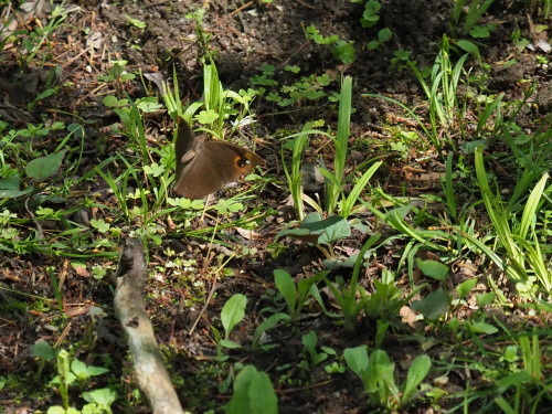 f0348480_17361941.jpg