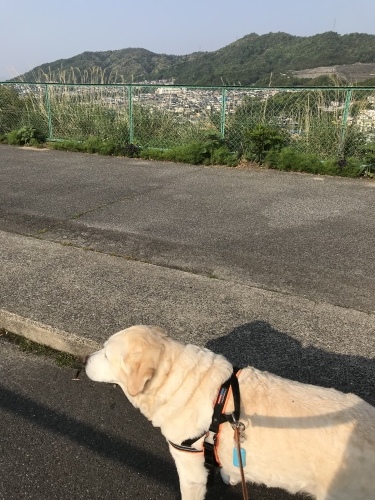 f0315081_20460757.jpeg