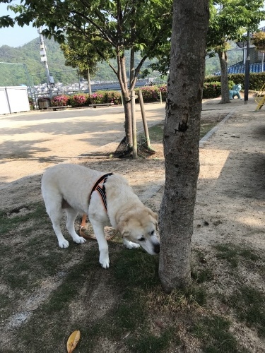 f0315081_20481713.jpeg