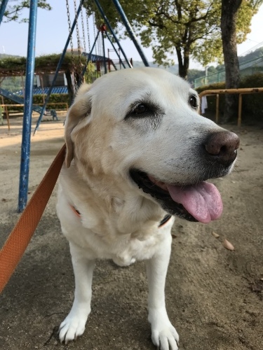 f0315081_20521770.jpeg