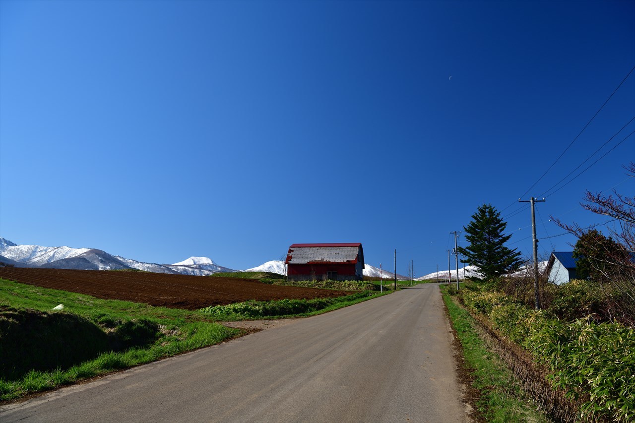 d0105582_21365070.jpg