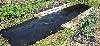 f0003283_18213137.jpg
