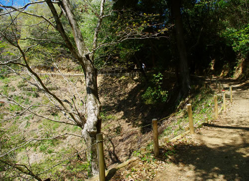 b0123486_13414903.jpg