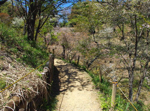 b0123486_14291930.jpg