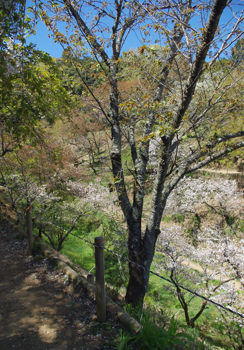 b0123486_14362518.jpg